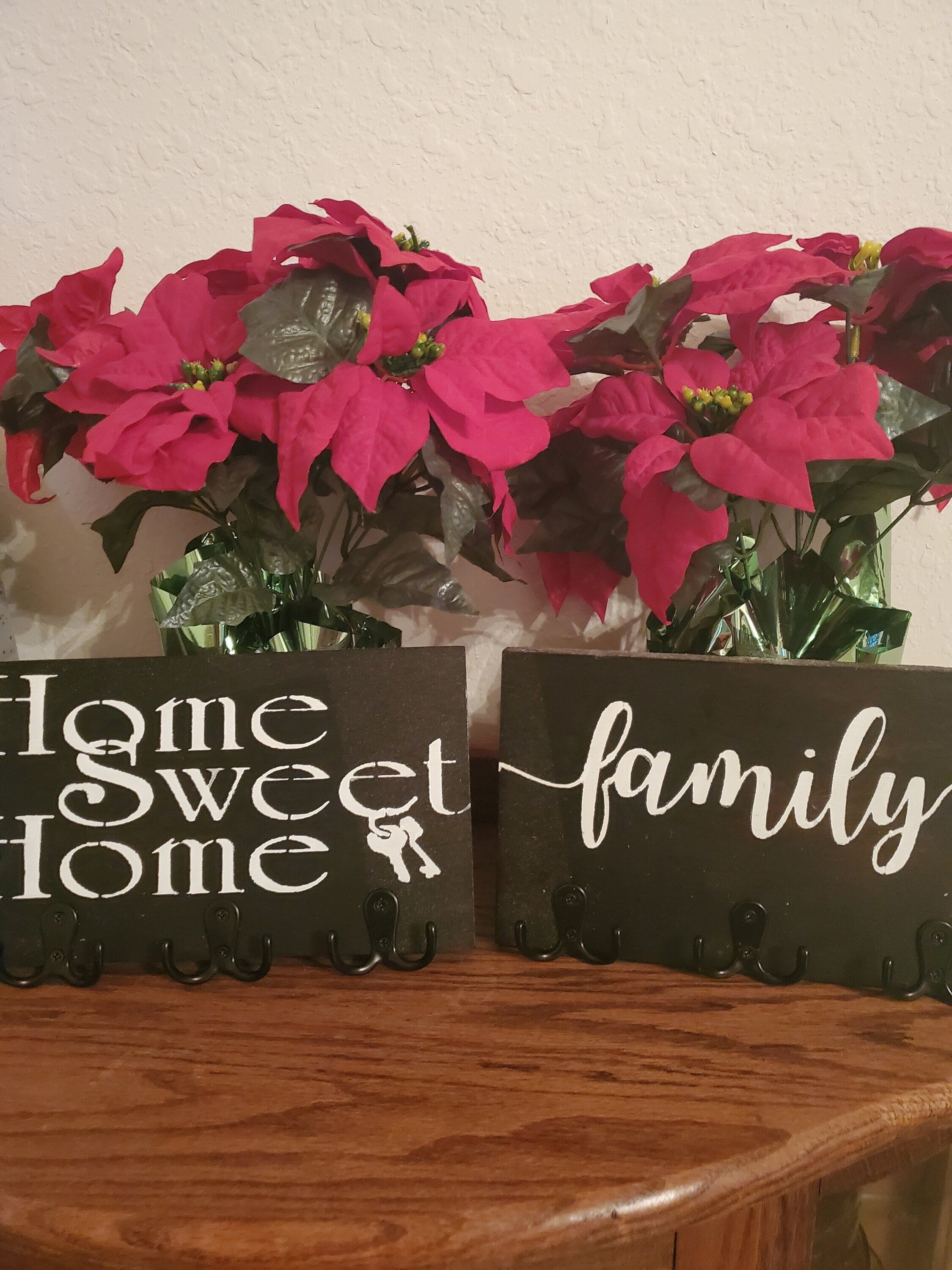 Handpainted  Key/Leash Holder with 3 Heavy Duty Double Hooks - 2 styles - hardware included -