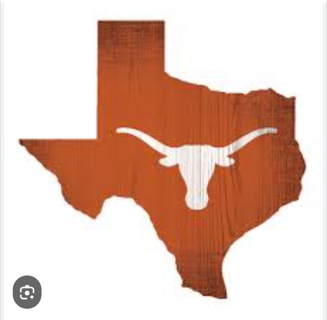 Handpainted U of Texas Longhorn Porch Sign: Weatherproof Solid Wood